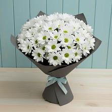 Букет цветов из:  Хризантемы в Нижнеивкино
