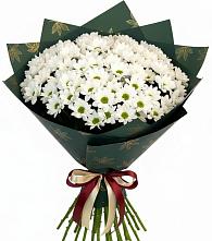 Букет цветов из:  Хризантемы в Нижнеивкино