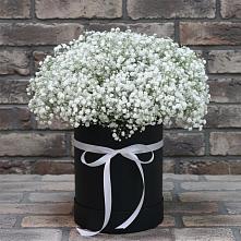 Цветочная композиция из Гипсофила в шляпной коробке в Нижнеивкино