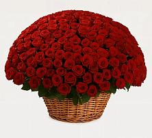 Премиум букет из: Розы #REPLACE_PRED# Нижнеивкино